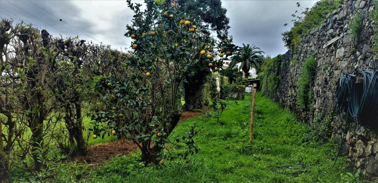 Quinta Do Bom Despacho ปอนตาเดลกาดา ภายนอก รูปภาพ